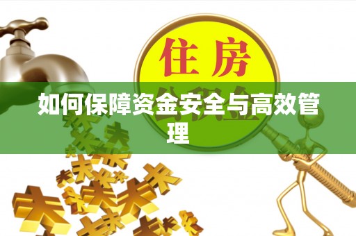惠阳如何保障资金安全与高效管理