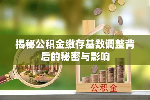 惠阳揭秘公积金缴存基数调整背后的秘密与影响