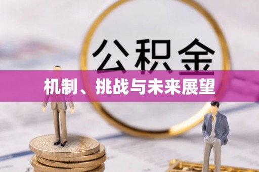 惠阳机制、挑战与未来展望